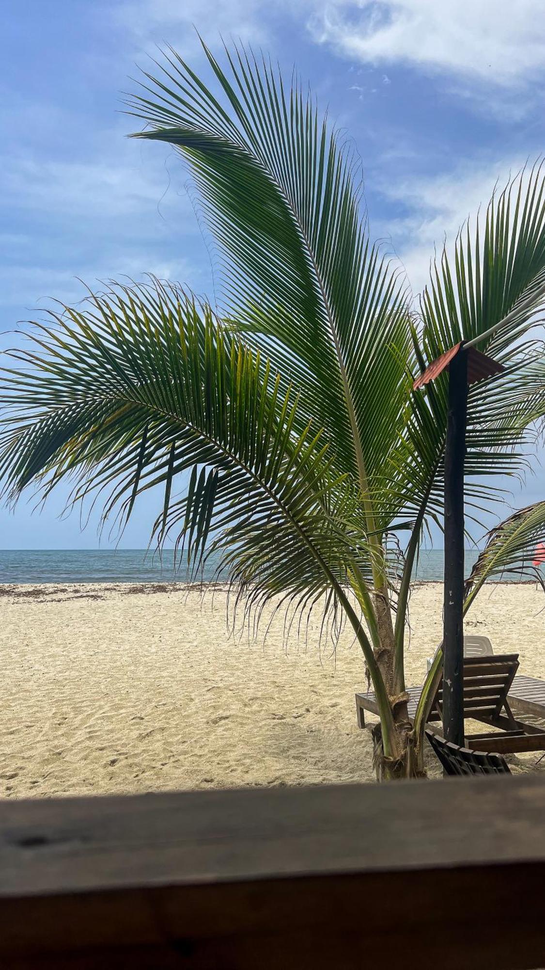 Hostal Mocambo Beach Guachaca Zewnętrze zdjęcie